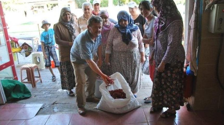Gelişen Teknoloji Kış Hazırlıkları Geleneğini Değiştirdi