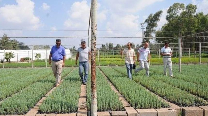 Orman Fidanlık M&uuml;d&uuml;rl&uuml;ğ&uuml; Yeni Sezona Hazır
