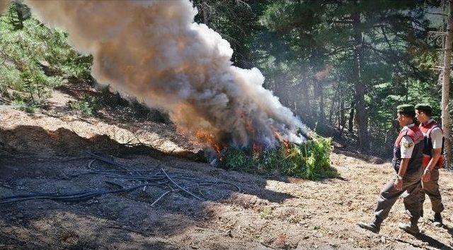 Adana da Uyuşturucu Ve Kaçakçılık Operasyonları 2