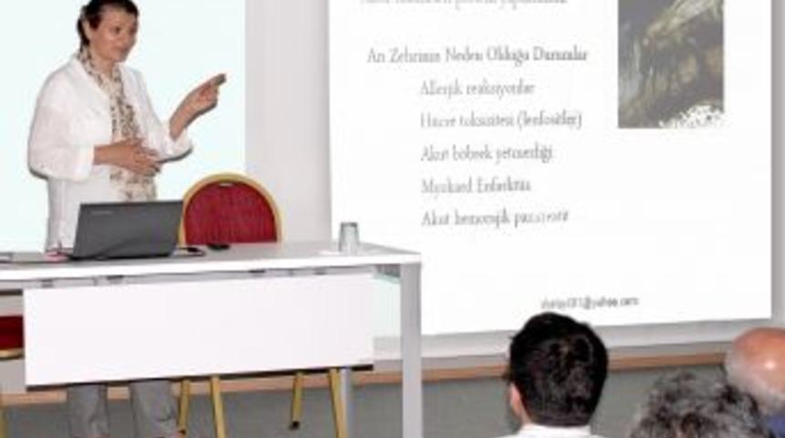 Prof. Dr. Sevgi Kolaylı: Balın Şifası 3 Kutsal Kitapta Da &Ouml;v&uuml;l&uuml;yor