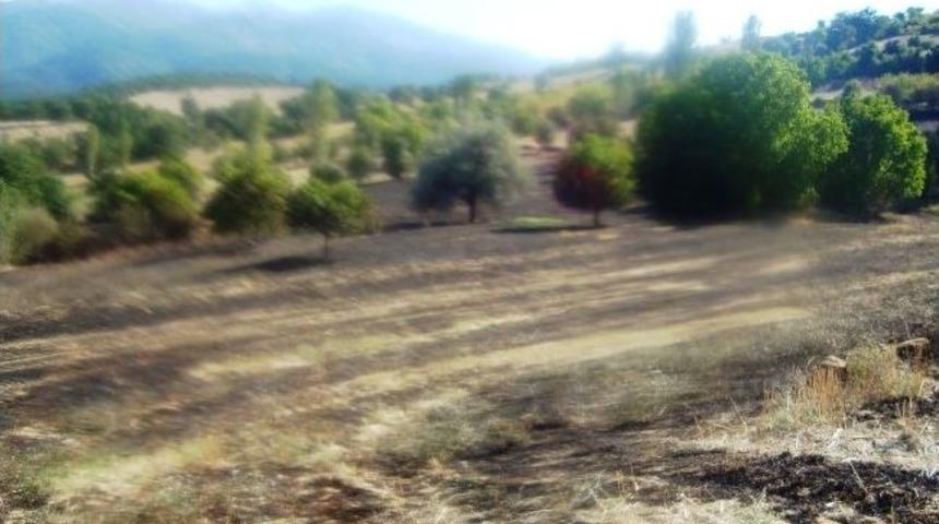 Hisarcık&rsquo;ta Arazi Yangını