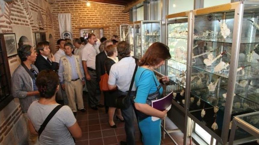 L&uuml;letaşı M&uuml;zesine Ziyaret&ccedil;i Akını