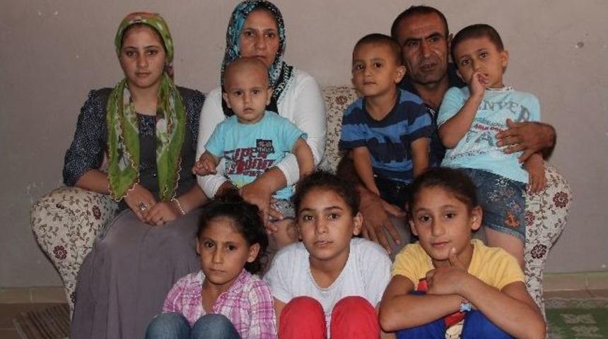 Aile Bireylerinin &Ccedil;oğu Ms Hastası