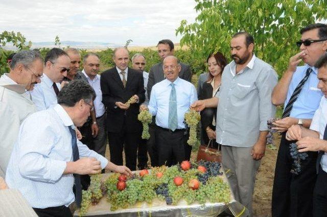Kırıkkale Valisi Ali Kolat'tan Çelebi Ve Karakeçili İlçelerine Ziyaret