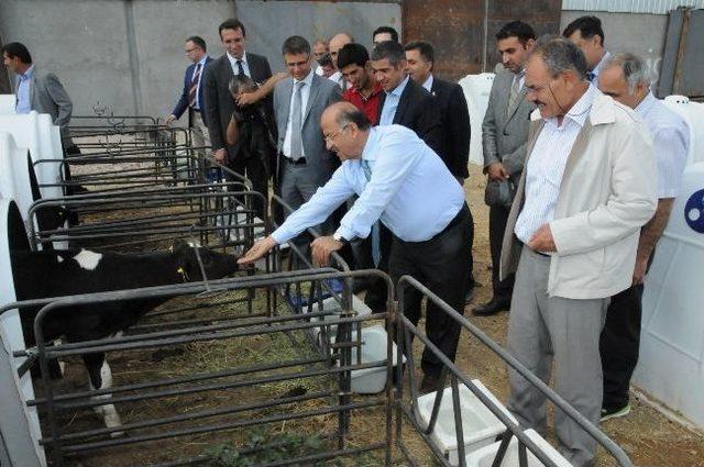 Kırıkkale Valisi Ali Kolat'tan Çelebi Ve Karakeçili İlçelerine Ziyaret