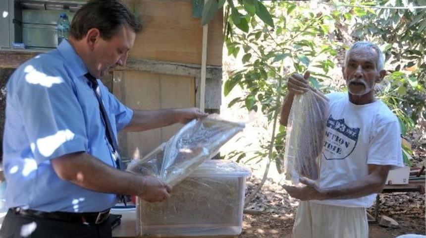 Poyraz R&uuml;zgarı Bal &Uuml;retimini D&uuml;ş&uuml;rd&uuml;
