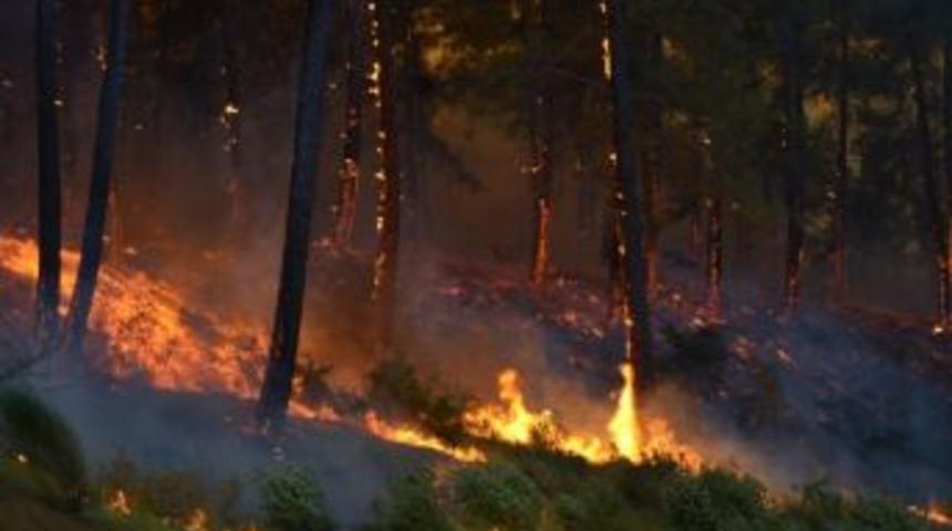 Kumluca'daki Yangın Kısmen Kontrol Altına Alındı
