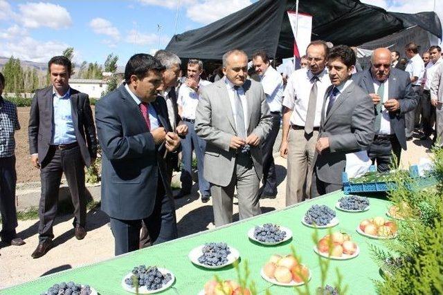 Erzincan’da İyi Tarım Uygulamaları