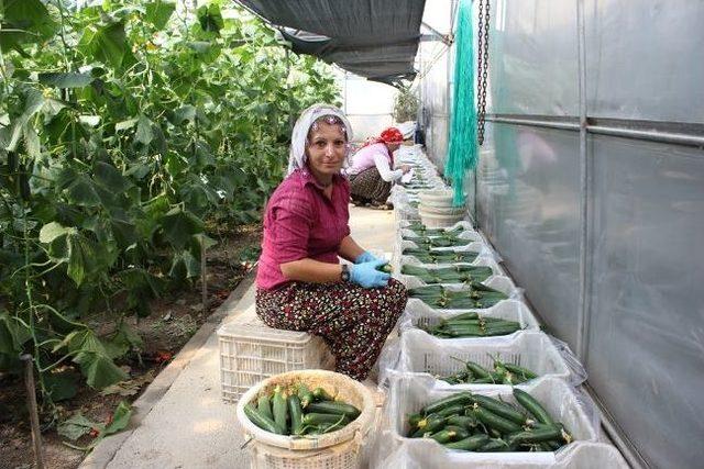 Erzincan’da İyi Tarım Uygulamaları