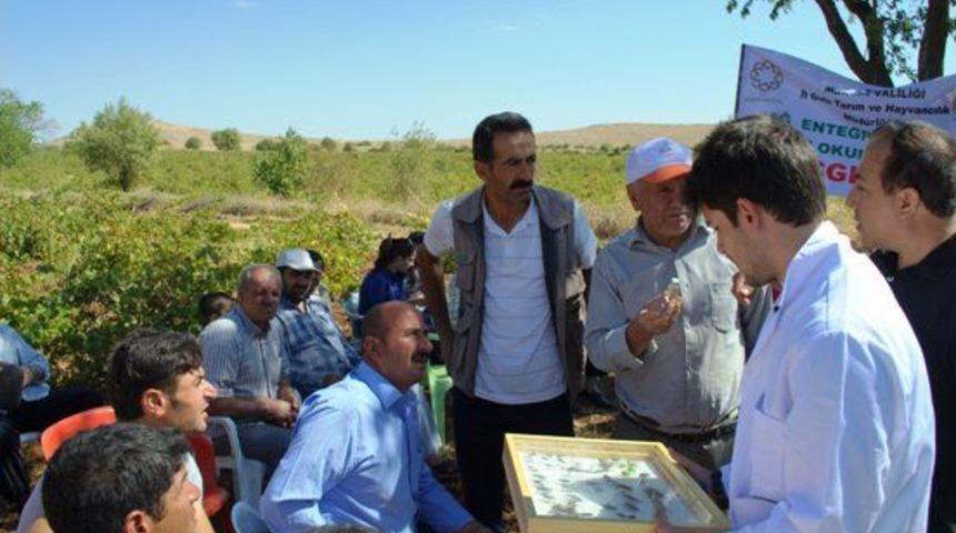 &Ccedil;ift&ccedil;iler Tarla Okullarında Eğitiliyor