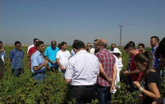 Mardin'de Entegre Mücadele Eğitimi Gerçekleştirildi