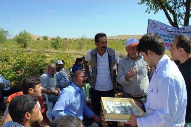 Mardin'de Entegre Mücadele Eğitimi Gerçekleştirildi