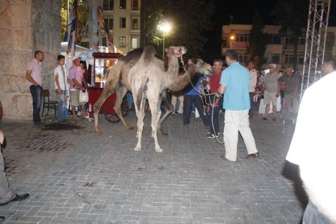 Sel&ccedil;uk, Festivalle Coştu