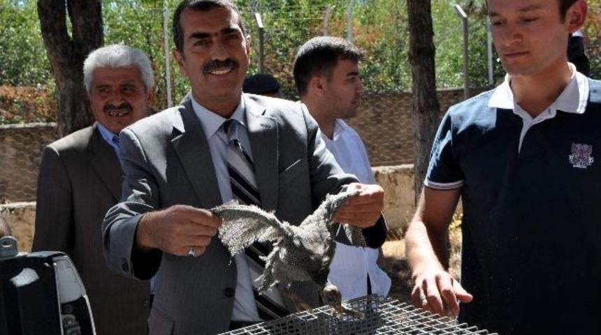 Keneyle M&uuml;cadele İ&ccedil;in &Ccedil;ift&ccedil;ilere Be&ccedil; Tavuğu Dağıtıldı