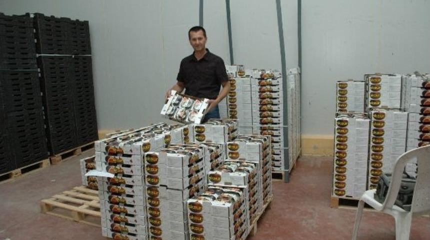 Siyah İncir İhracatında Sona Gelindi