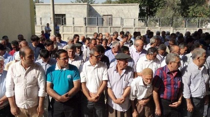 Dr. Vahap Boyvadaoğlu Vefat Etti