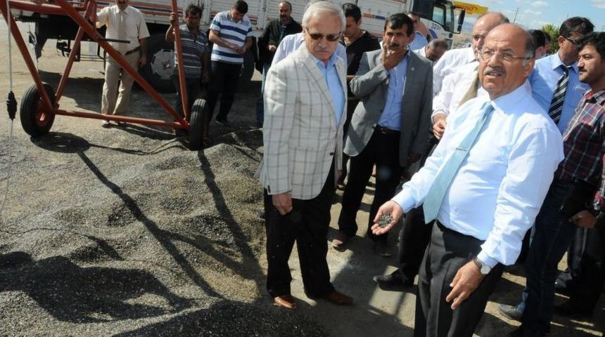 Sivas&rsquo;ın Patates Tohumu Ihtiyacının Y&uuml;zde 60'ını Kırıkkale Karşılıyor