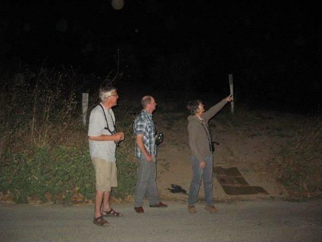 Leylek G&ouml;&ccedil;&uuml; Esnasında Elektrikler Kesildi 1