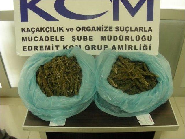 Balıkesir’de 85 Kilo Uyuşturucu Ele Geçirildi