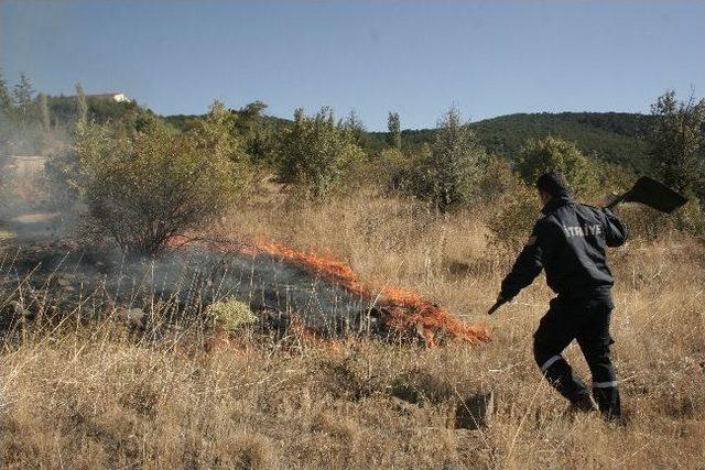 Yozgat&rsquo;ta Mezarlıkta &Ccedil;ıkan Ot Yangını G&uuml;&ccedil;l&uuml;kle S&ouml;nd&uuml;r&uuml;ld&uuml; 1