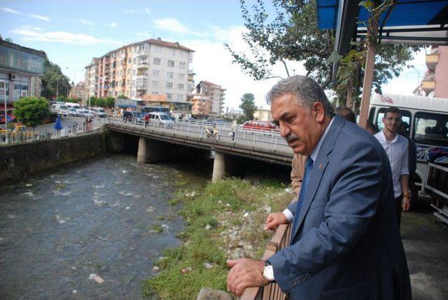 Gümrük Ve Ticaret Bakanı Yazıcı, Rize'de