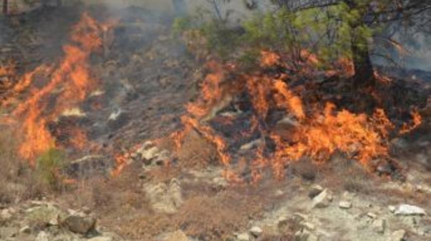 Kumluca'da kabus geri d&ouml;nd&uuml;