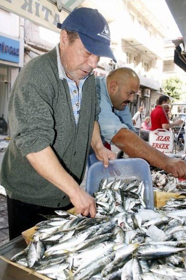 Balık Sezonu Pahalı Açıldı