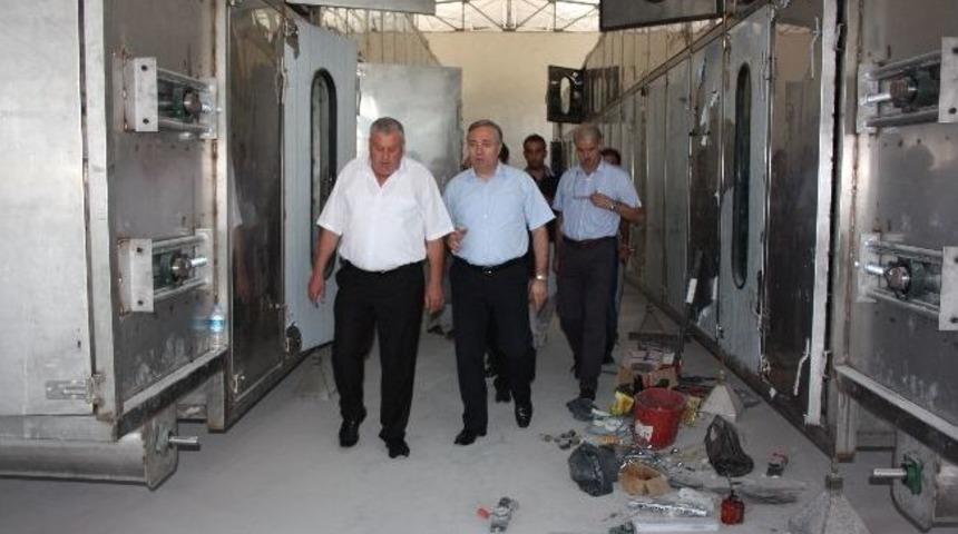 D&uuml;nya Mutfaklarının Biberi Bursa'da &Uuml;retilecek