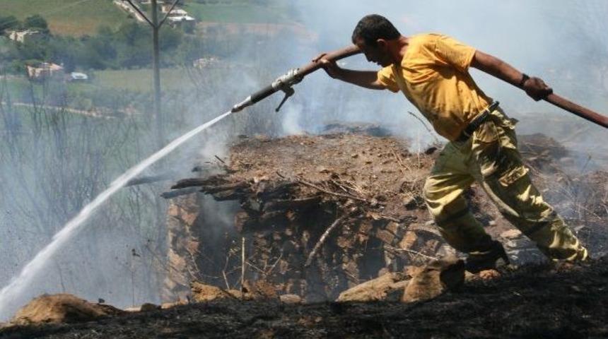 Kopan Elektrik Telleri Ormanı Yaktı
