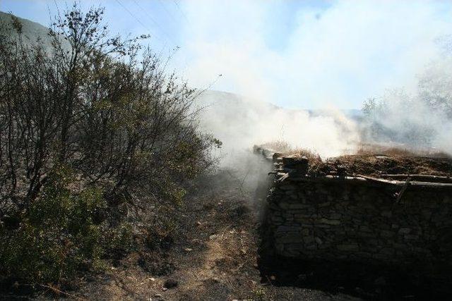 Kopan Elektrik Telleri Ormanı Yaktı 1