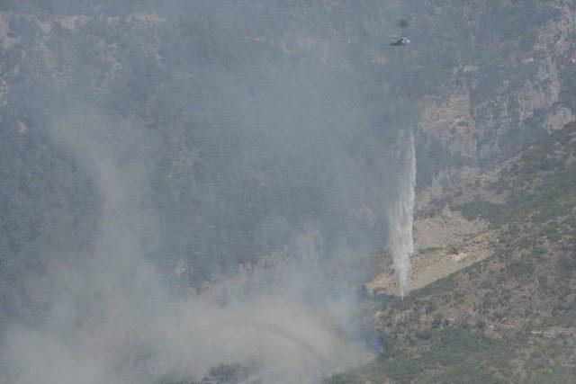 Kopan Elektrik Telleri Ormanı Yaktı 3