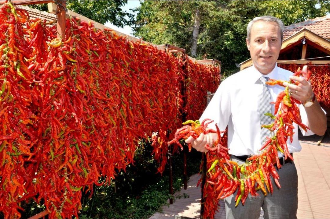 Karaağa&ccedil; Acı Biberinin Hasadına Başlandı