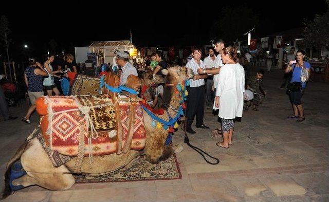 Anadolu K&uuml;lt&uuml;r Festivali Devam Ediyor 2