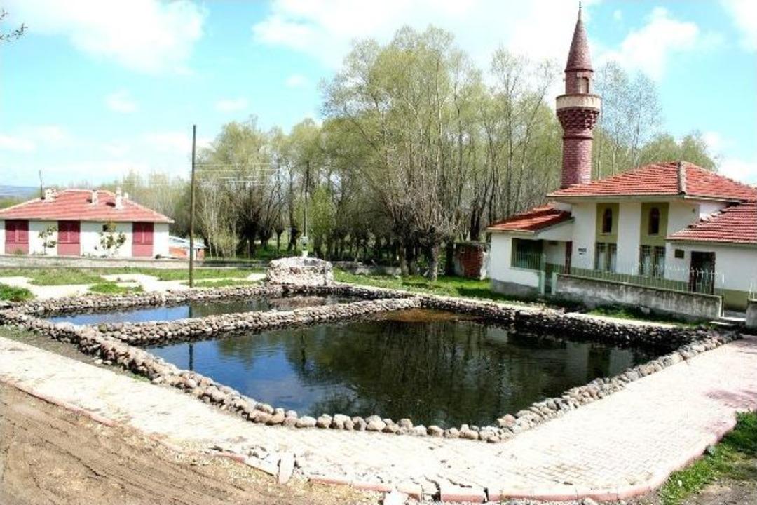 (&ouml;zel Haber) Bu Balıkların &Ccedil;anakkale'de Savaştığına İnanılıyor