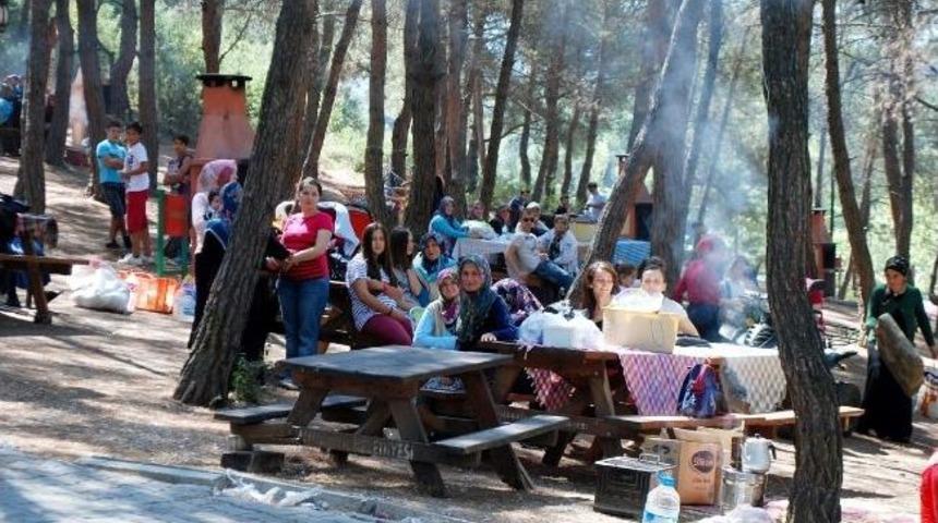 G&ouml;yn&uuml;kl&uuml;&rsquo;de Yaza Veda Pikniği