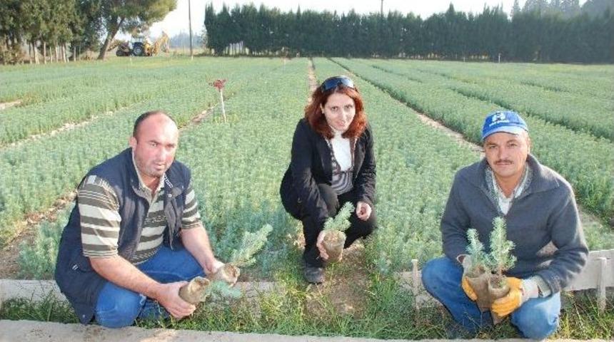 (&ouml;zel) İzmir T&uuml;rkiye&rsquo;yi Yeşillendiriyor