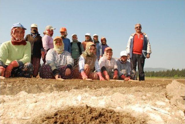 (&ouml;zel) İzmir T&uuml;rkiye&rsquo;yi Yeşillendiriyor 1