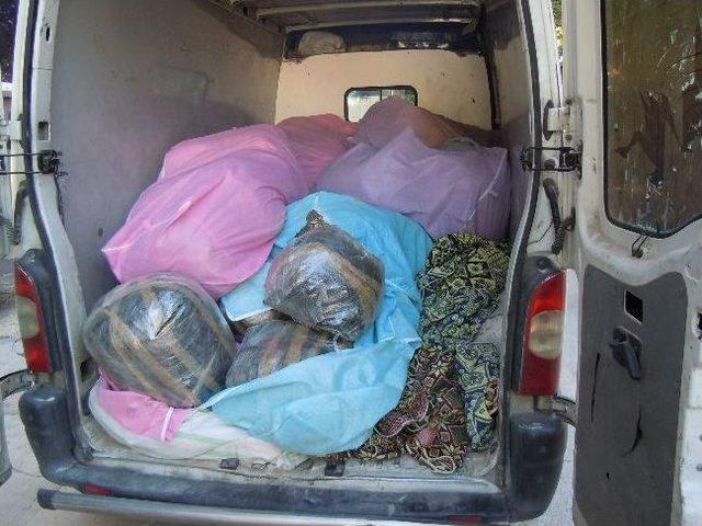 Narkotik K&ouml;peği Pars&rsquo;a D&uuml;ğ&uuml;n Hediyesi 1