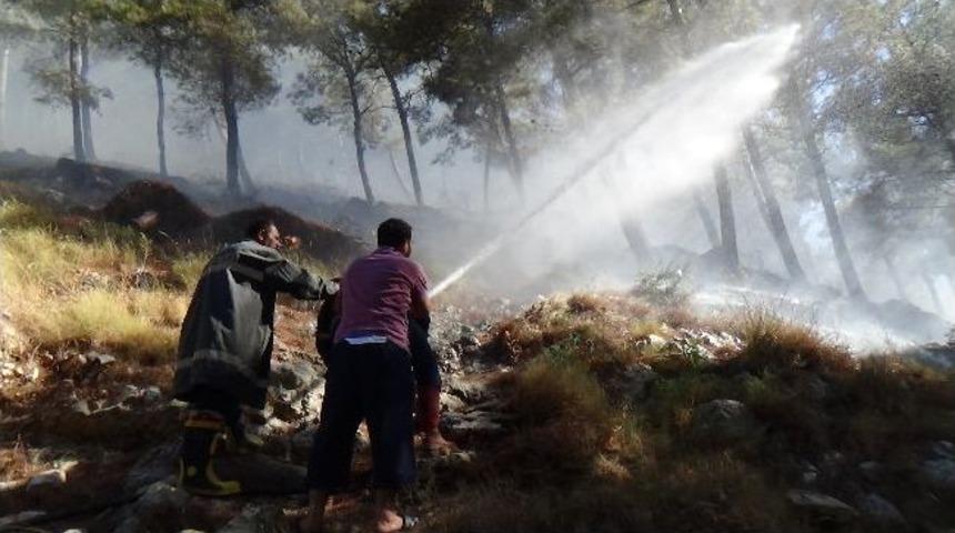 Habib-i Neccar Dağında Yangın