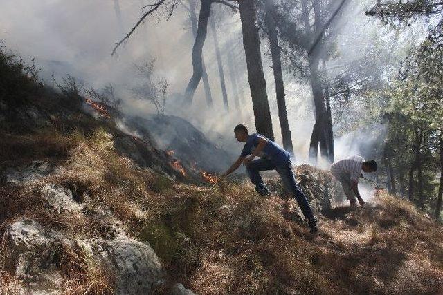 Habib-i Neccar Dağında Yangın 1