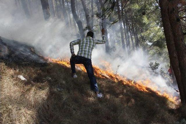 Habib-i Neccar Dağında Yangın 2