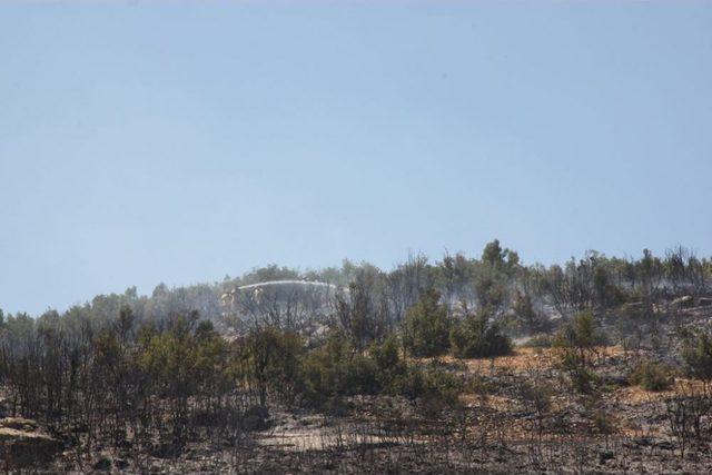 Korkuteli&rsquo;nde Makilik Alanda Yangın &Ccedil;ıktı 1