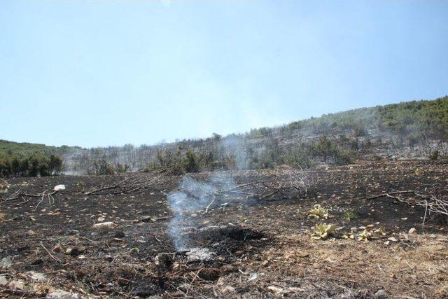 Korkuteli&rsquo;nde Makilik Alanda Yangın &Ccedil;ıktı 2