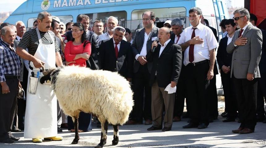 İzzettin Doğan: Alevi Ve S&uuml;nniler Birbirlerine Zarar Verecek &Ccedil;ıkışta Bulunmadı