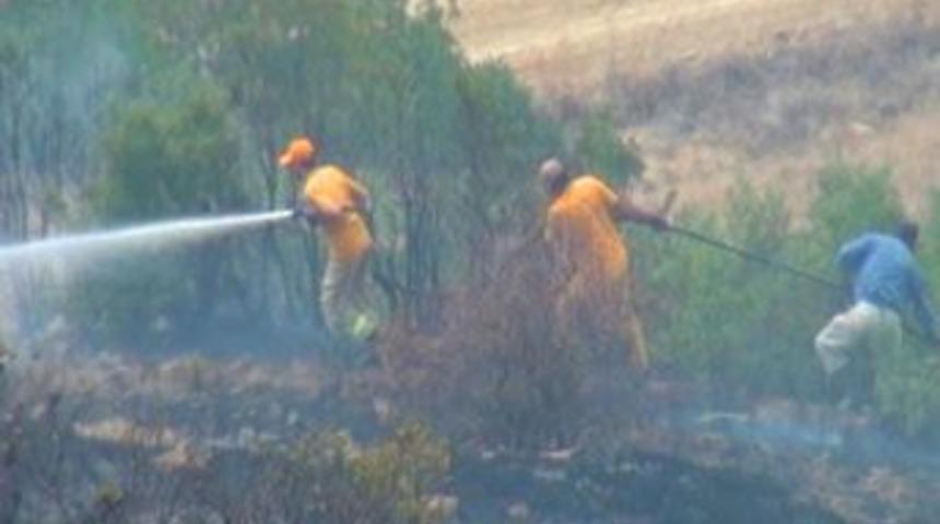 &Ccedil;ift&ccedil;iler Anız Yakmaya &Ccedil;alışırken Ormanı Yaktı