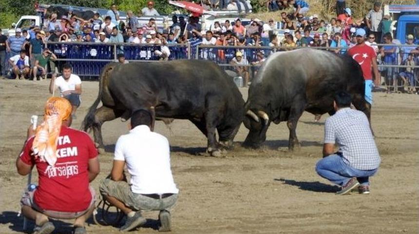 Boğalar Spor Kul&uuml;b&uuml; Yararına G&uuml;reşti