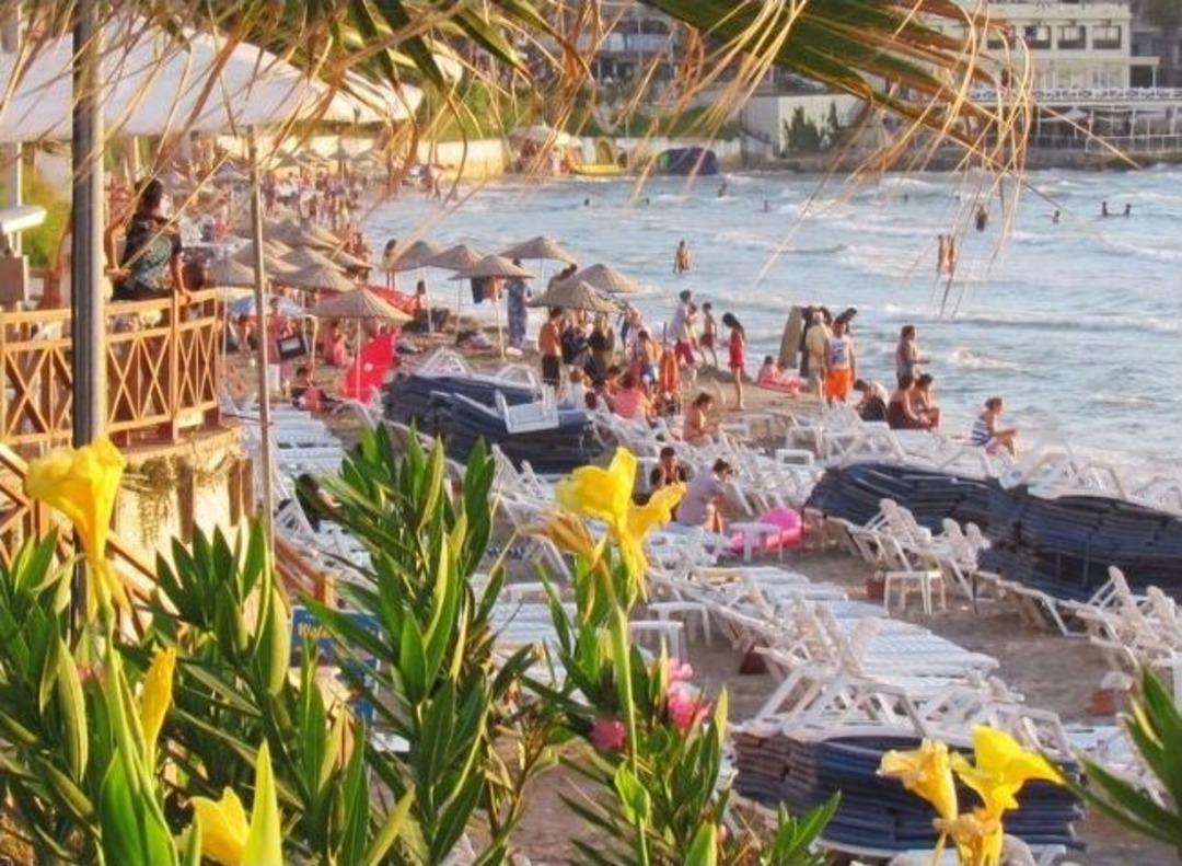 Kuşadası&rsquo;nda Caretta Caretta Yumurtalamasında Rekor Kırıldı