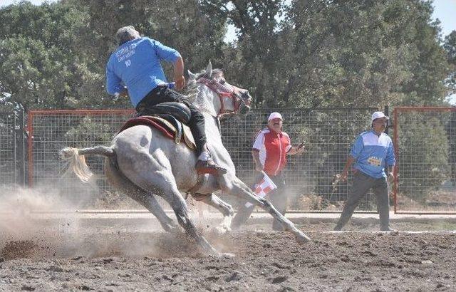 Bölge Ciritçileri Uşak'ta Kozlarını Paylaştı