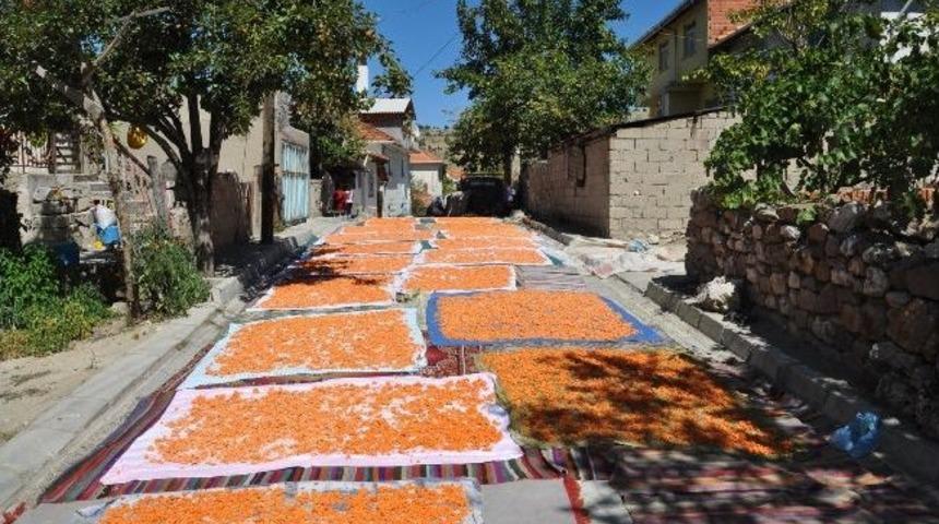 Kış Aylarının Vaz Ge&ccedil;ilmezi Tarhanalar Hazırlanmaya Başlandı