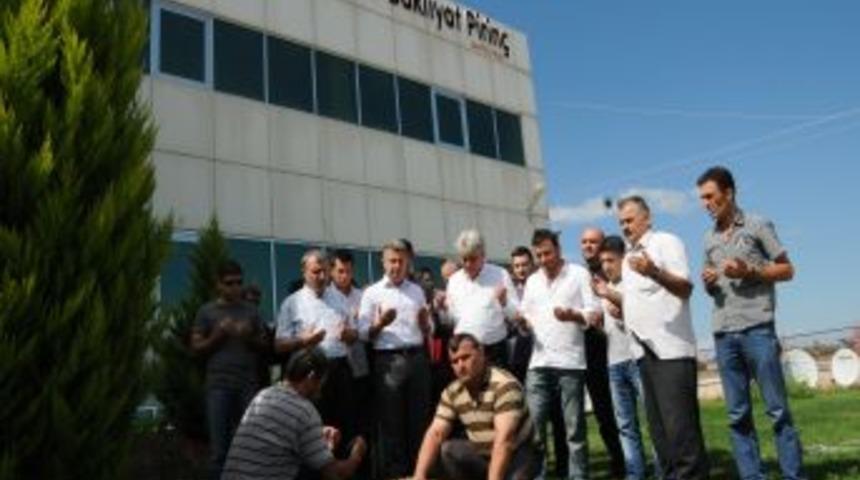 Bafra'da Pirin&ccedil; Sezonu Dualarla A&ccedil;ıldı